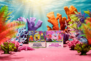 SpongeBob 4-Pack C9
