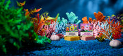 SpongeBob 4-Pack C9