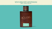 Castaway Cove Cologne V6