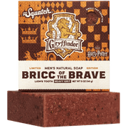 Bricc of the Brave H1