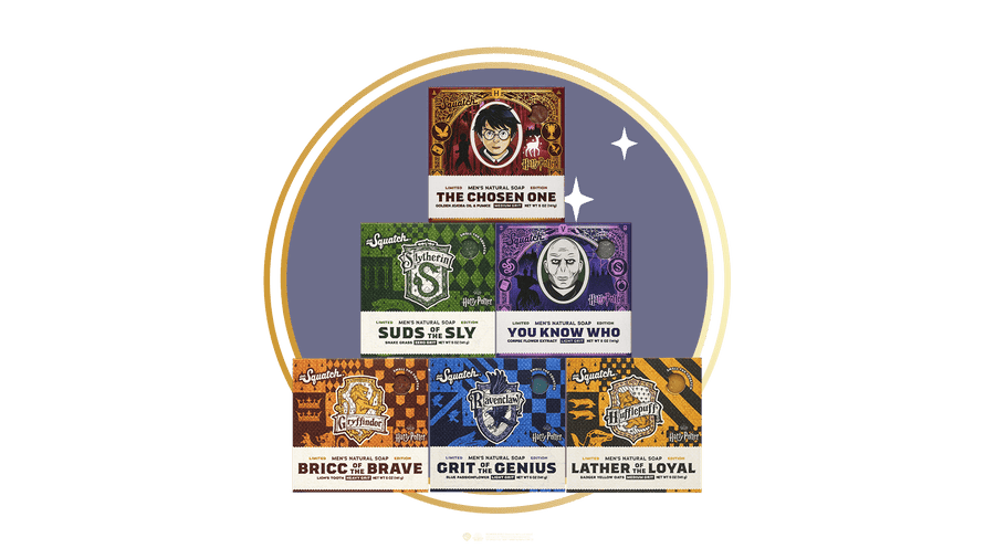 Harry Potter 6-Pack T4