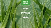 Cool Fresh Aloe Lotion M2