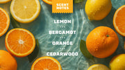 Summer Citrus Hand Soap G2