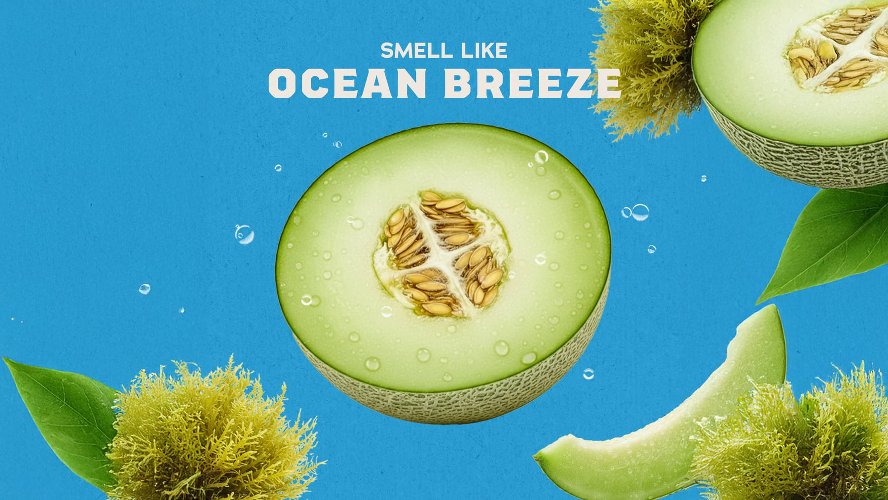 Coastal Mist Hand Soap Y9