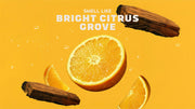 Summer Citrus Hand Soap G2